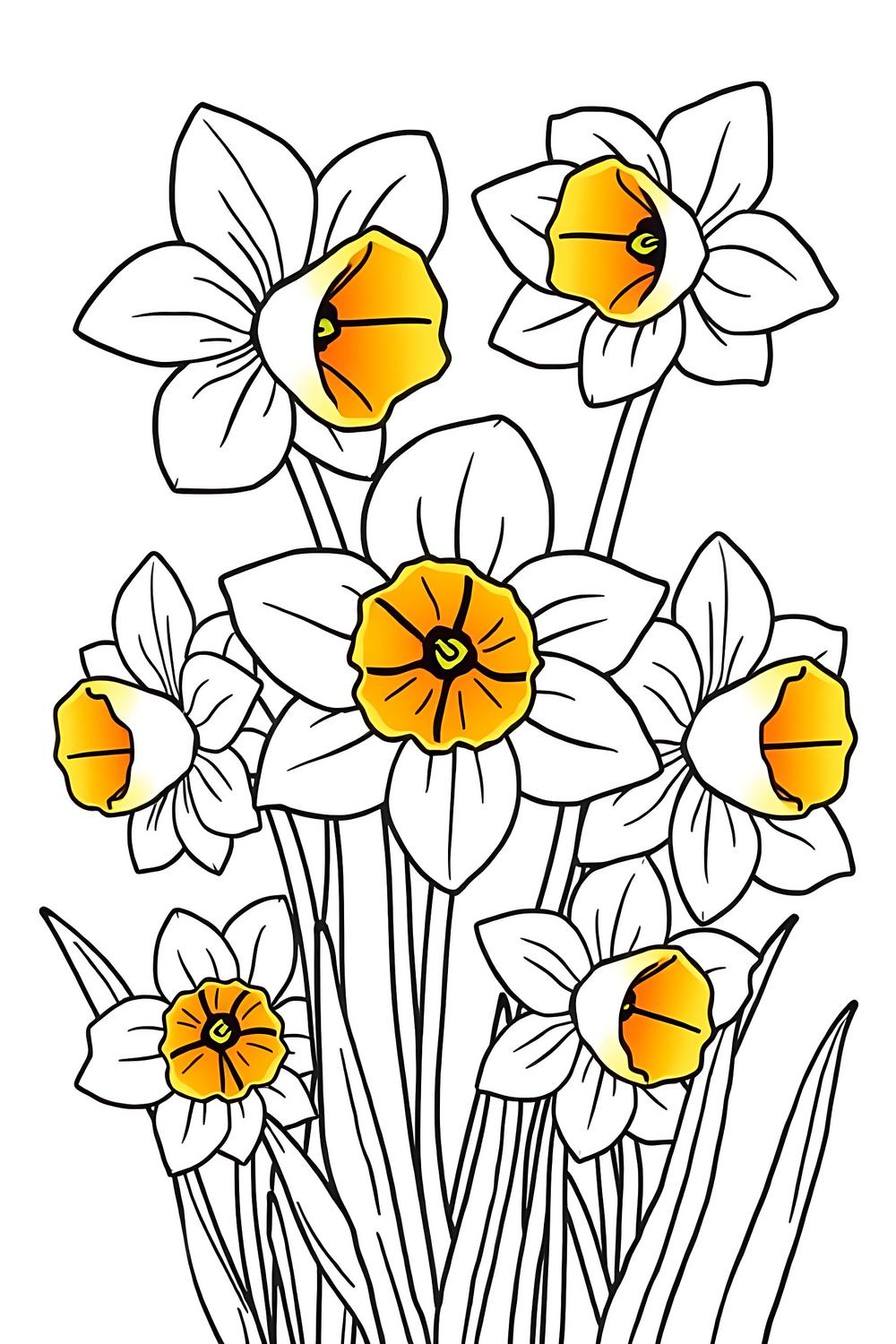 Cheerful Daffodil Flower coloring pages for kids and adults